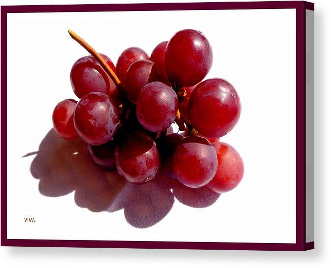 Grapes Canvas Print featuring the photograph Before The Ecstasy - An Ode by VIVA Anderson