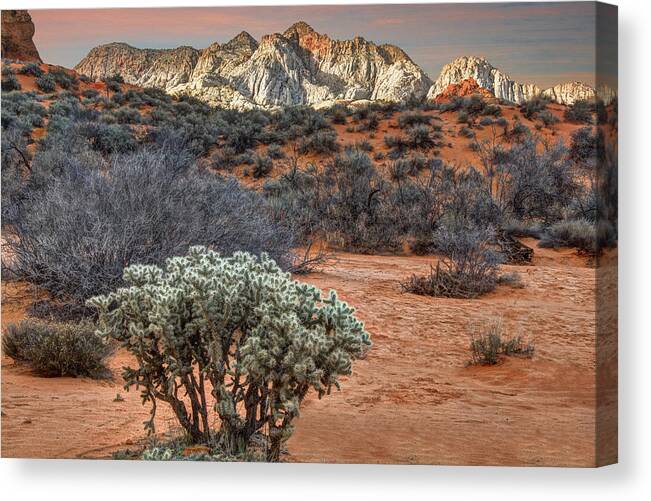 Snow Canyon State Park Canvas Print featuring the photograph Snow Canyon State Park Utah #2 by Douglas Pulsipher