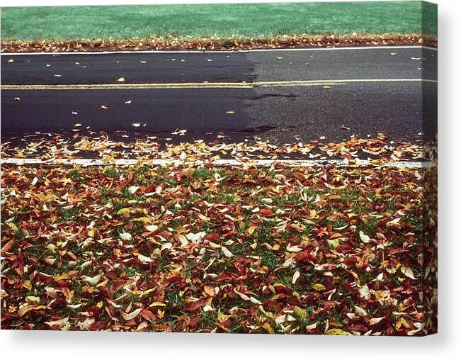 Road Canvas Print featuring the photograph Road in Autumn by Kellice Swaggerty