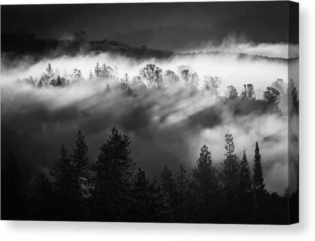 American River Canyon Canvas Print featuring the photograph American River Canyon by Sherri Meyer