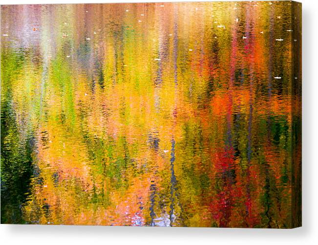 Autumn Canvas Print featuring the photograph Autumn Abstract by Eleanor Abramson