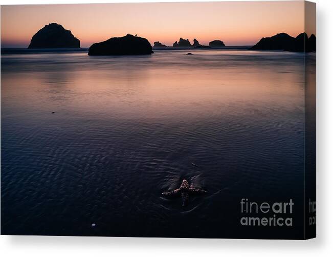 Starfish Canvas Print featuring the photograph Patience by Gene Garnace