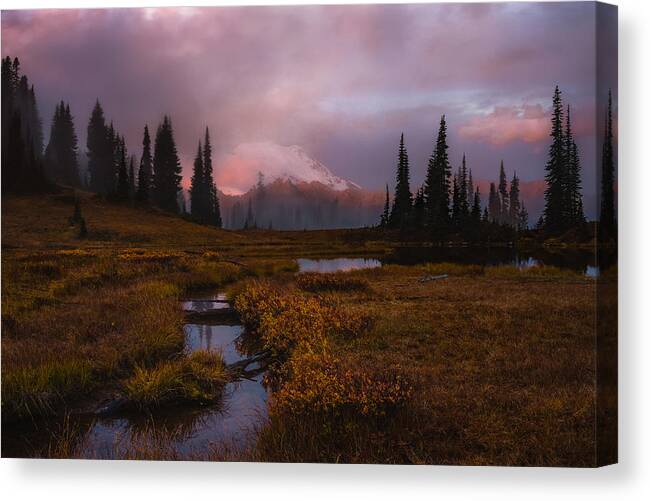 Fineartnature.com Canvas Print featuring the photograph Engulfed II by Gene Garnace