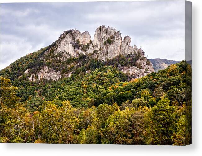 Seneca Rocks Canvas Print featuring the photograph Fall on Seneca Rocks West Virginia by Dan Carmichael