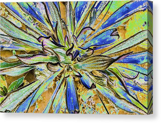 Abstract Canvas Print featuring the photograph Fantasy by Sherri Meyer