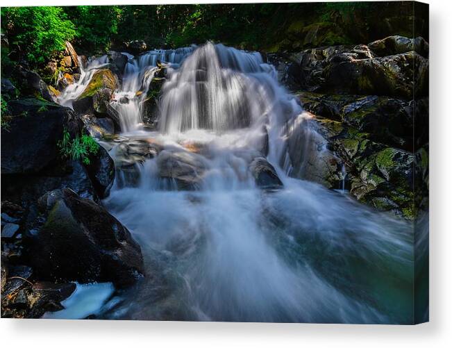 Stream Canvas Print featuring the photograph Free Streaming by Gene Garnace