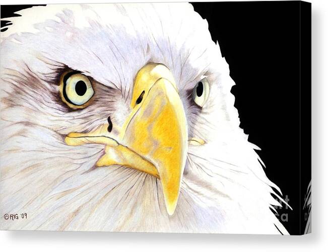 Bald Eagle Canvas Print featuring the drawing Intensity by Rosellen Westerhoff