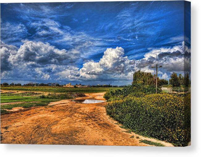 Landscape Canvas Print featuring the photograph Israel End of Spring Season by Ron Shoshani