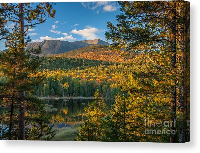 America Canvas Print featuring the photograph Katahdin at Abol Wetland by Susan Cole Kelly