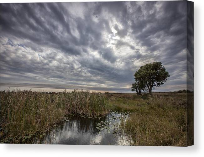 Gray Canvas Print featuring the photograph My Backyard by Jon Glaser