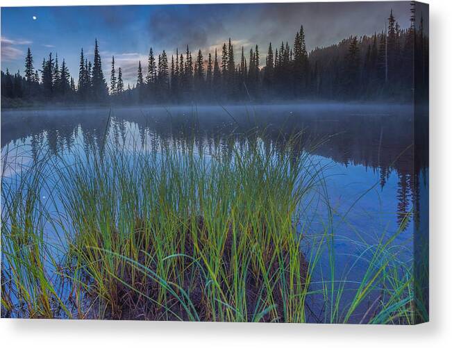 Mt. Rainier Canvas Print featuring the photograph Nature Awakes by Gene Garnace