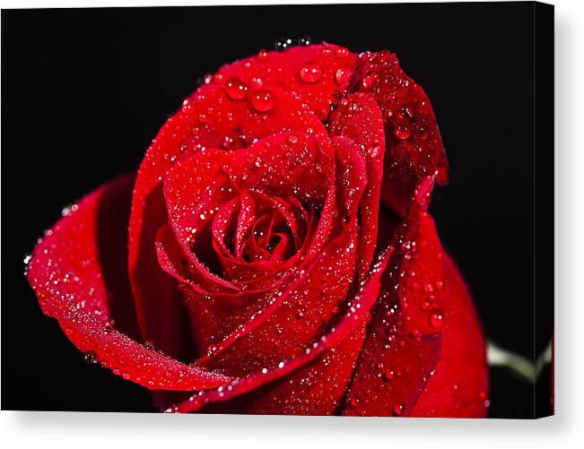 Art Canvas Print featuring the photograph Out of the Rain by Jon Glaser