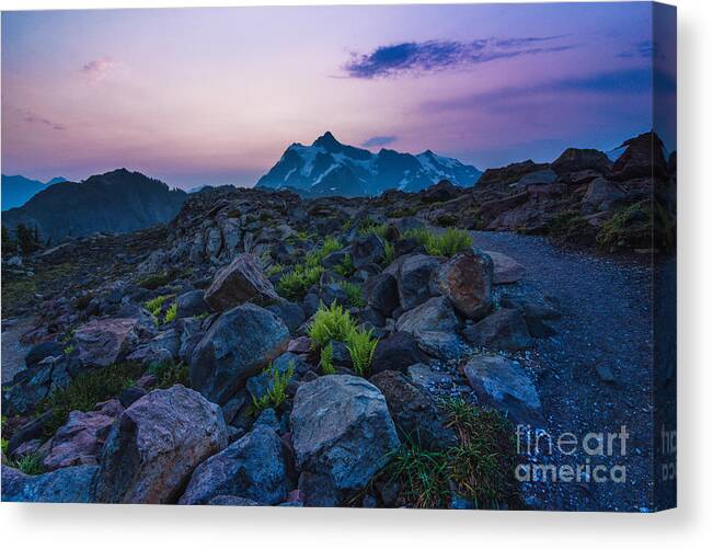 New Day Canvas Print featuring the photograph Pathway To Light by Gene Garnace