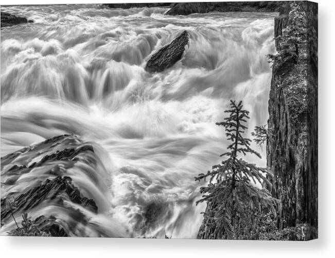 Beauty Canvas Print featuring the photograph Power Stream by Jon Glaser