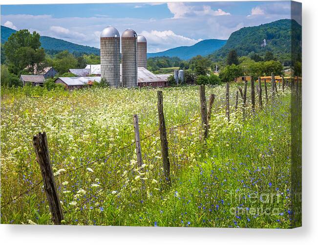 Agriculture Canvas Print featuring the photograph Pownal Vermont Summer Meadow by Susan Cole Kelly