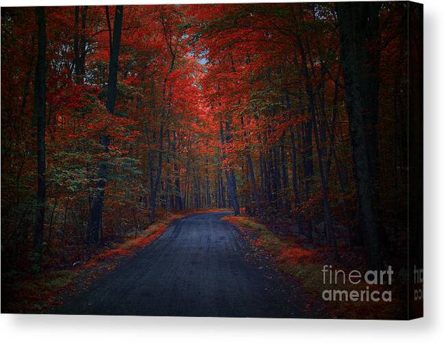 Woods Canvas Print featuring the photograph Red Woods by Marco Crupi