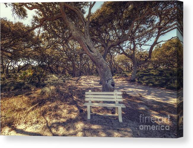 Park Bench Canvas Print featuring the photograph Rendezvous by Tim Wemple