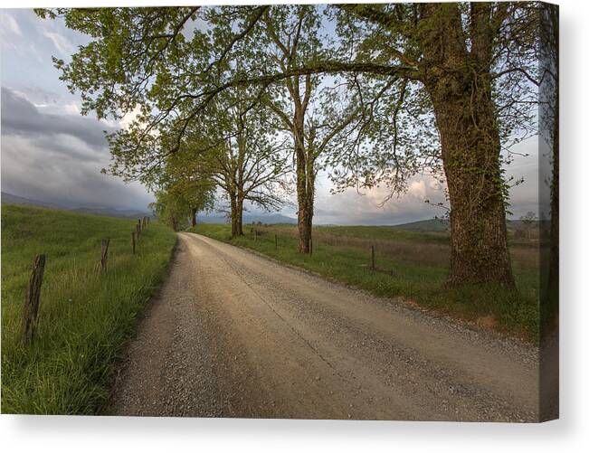 Horizontal Canvas Print featuring the photograph Road not Traveled II by Jon Glaser