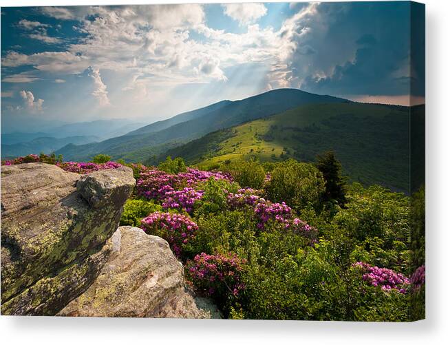 Appalachian Trail Canvas Print featuring the photograph Roan Mountain from Appalachian Trail near Jane's Bald by Dave Allen