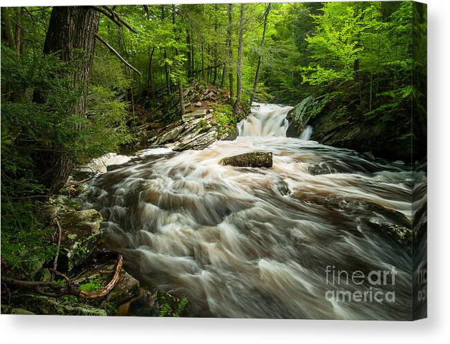 Cascades Canvas Print featuring the photograph Saugatuck Whitewater by JG Coleman