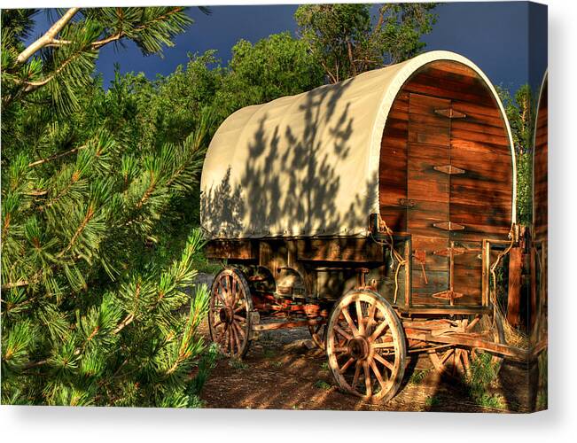 Covered Wagon Canvas Print featuring the photograph Sheep Herder's Wagon by Donna Kennedy