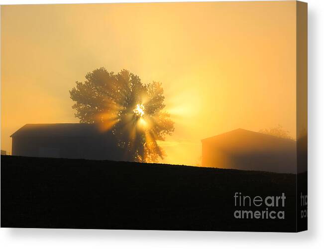 Sunrise Canvas Print featuring the photograph Shine On by Melissa Mim Rieman