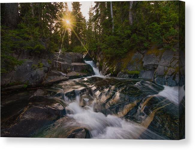 Stream Canvas Print featuring the photograph Shining Through by Gene Garnace