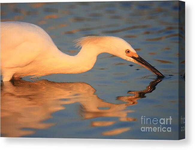Reflections Canvas Print featuring the photograph Mirror by John F Tsumas