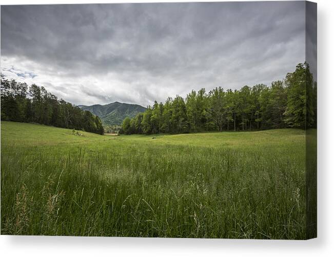 Green Canvas Print featuring the photograph Stuck in the Field by Jon Glaser