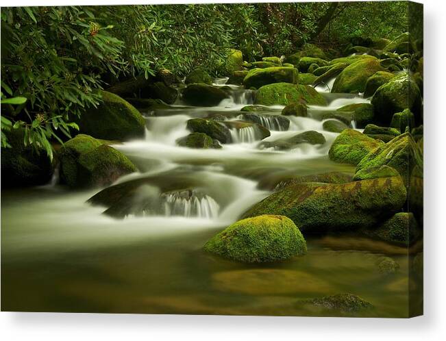 Smoky Mountains Canvas Print featuring the photograph Summer Along the Roaring Fork by Keith Nicodemus