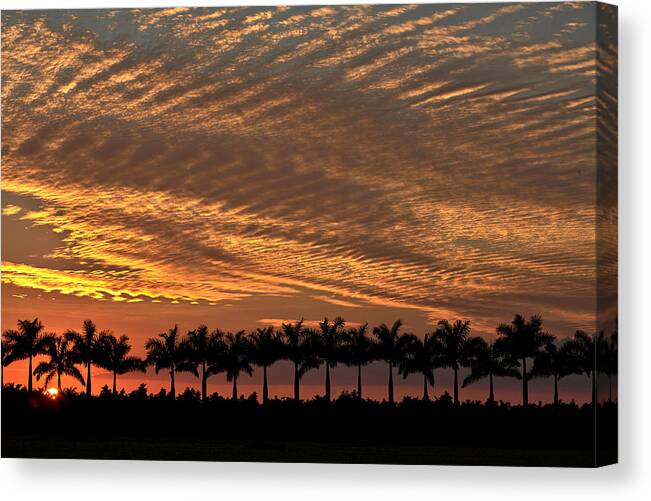 Florida Canvas Print featuring the photograph Sunset Florida by Matthew Pace