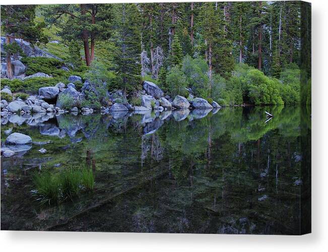 Water Canvas Print featuring the photograph The Stillness of Dawn by Sean Sarsfield