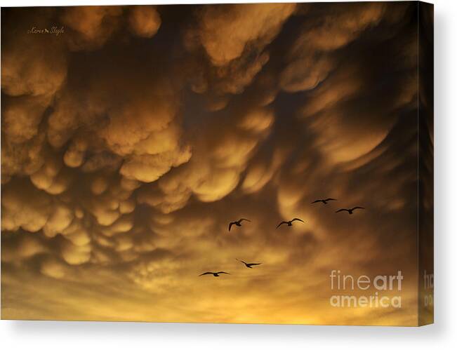 Clouds Canvas Print featuring the photograph The Storm Cometh by Karen Slagle
