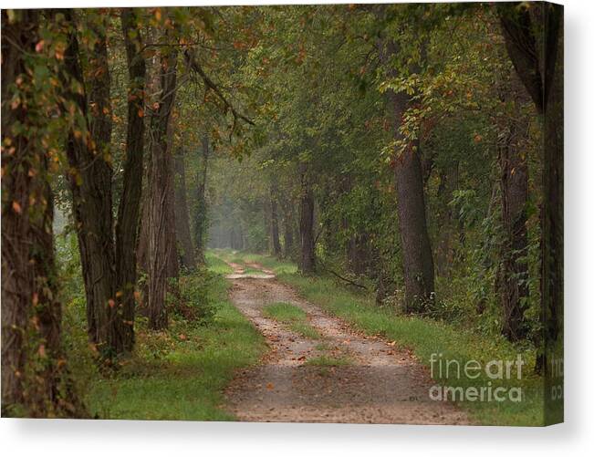 Trail Canvas Print featuring the photograph Trail Along the Canal by Jeannette Hunt