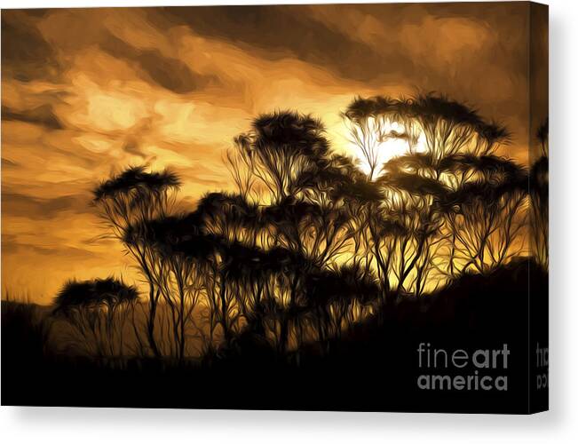 Trees Canvas Print featuring the photograph Trees at Sunset by Sheila Smart Fine Art Photography