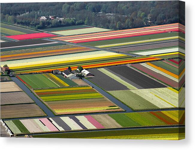 Benelux Canvas Print featuring the photograph Tulips Fields, Lisse by Bram van de Biezen