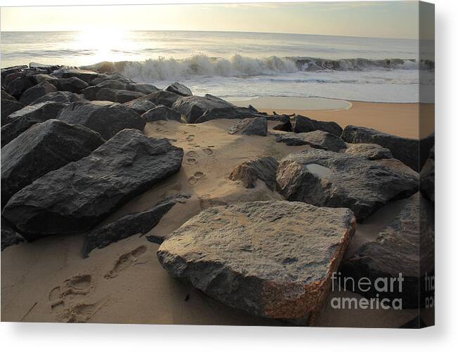 Landscape Canvas Print featuring the photograph Walk by the Shore by Everett Houser