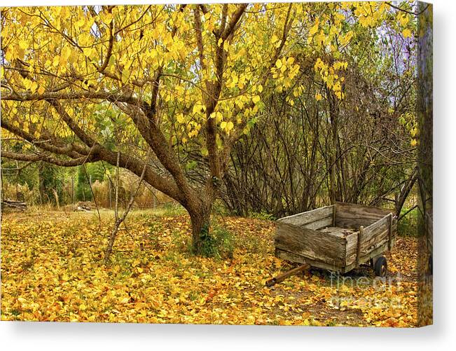 Autumn Canvas Print featuring the photograph Yellow Autumn Leaves And Wooden Wagon by Jo Ann Tomaselli