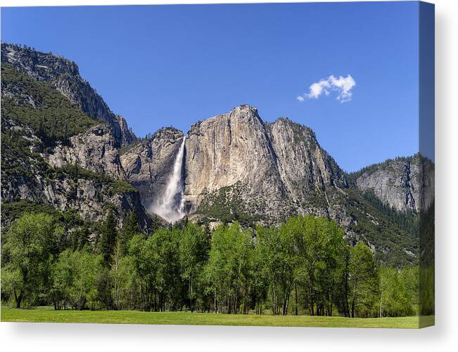 California Canvas Print featuring the pastel Yosemite Great Falls by Francesco Emanuele Carucci