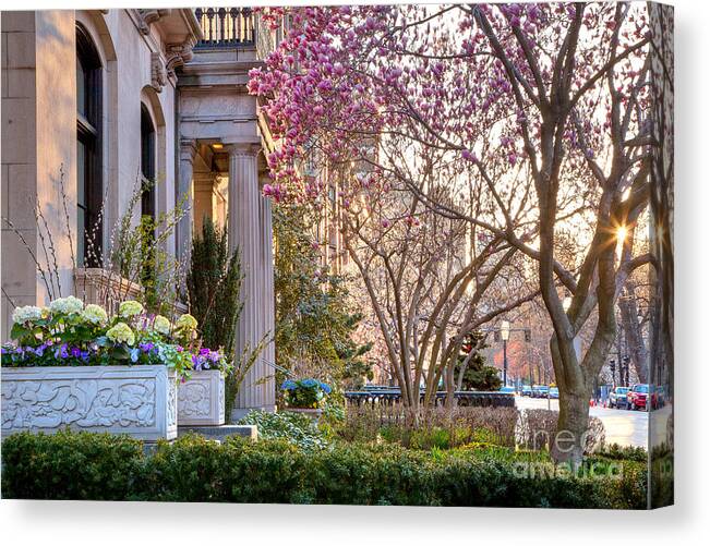 April Canvas Print featuring the photograph Back Bay Spring by Susan Cole Kelly