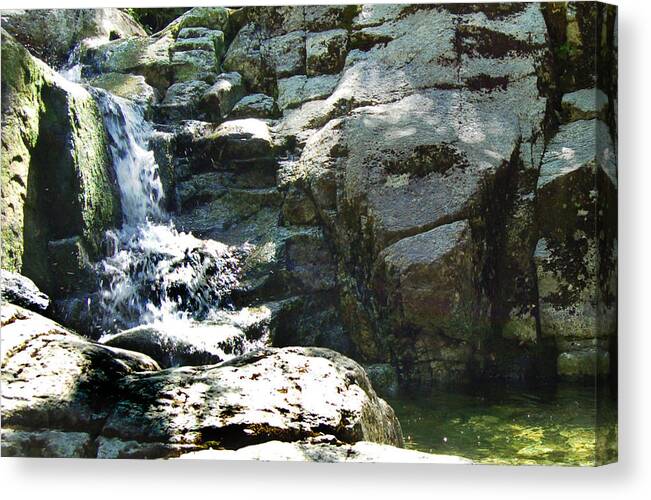 Waterfall Canvas Print featuring the photograph Cool Summer Water by Peter DeFina