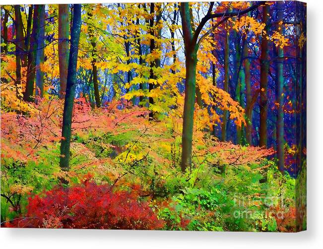 Landscape Canvas Print featuring the photograph Down in the Hollow by Xine Segalas