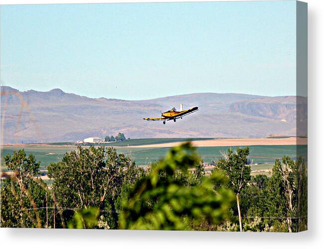 Plane Canvas Print featuring the photograph Idaho Crop Duster by Jo Sheehan
