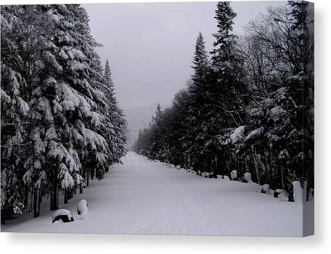 Winter Canvas Print featuring the photograph Whiteface Highway by Peter DeFina