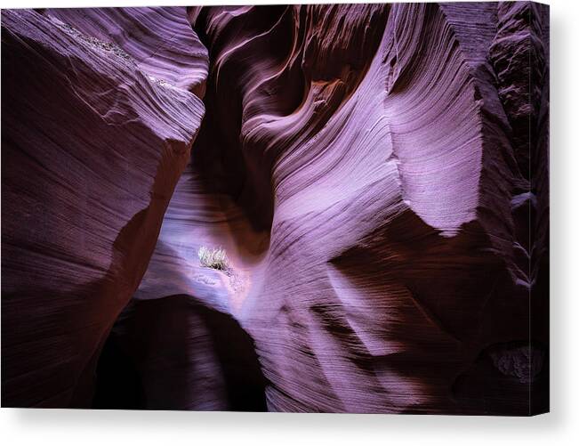 Antelope Canyon Canvas Print featuring the photograph Just the Light #2 by Jon Glaser