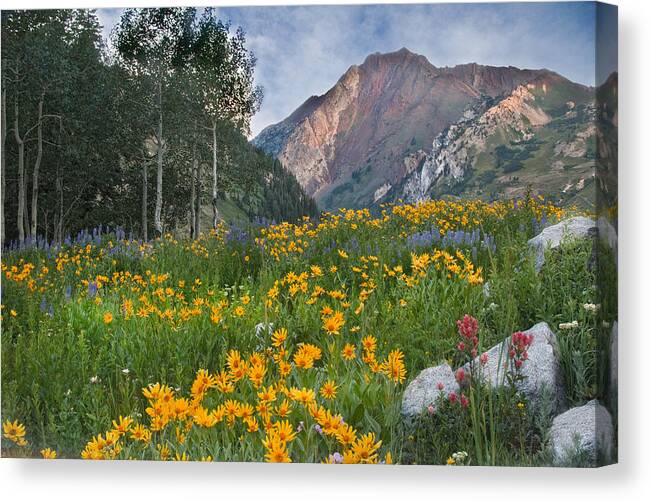 Wasatch Mountains Canvas Print featuring the photograph Wasatch Mountains #3 by Douglas Pulsipher