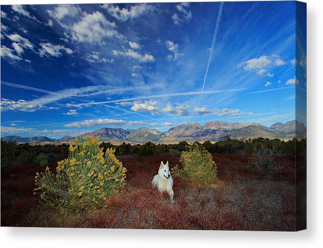 Sekani Canvas Print featuring the photograph A Portrait In Nature by Sean Sarsfield