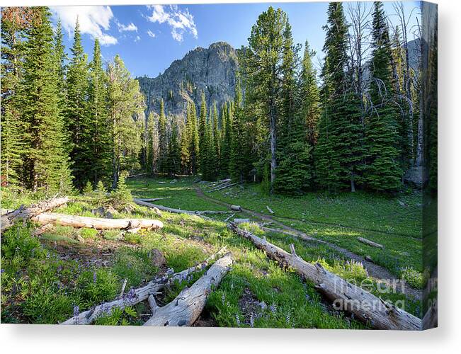 He Devil Canvas Print featuring the photograph Along the Trail by Idaho Scenic Images Linda Lantzy
