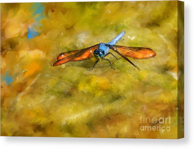 Dragonfly Canvas Print featuring the digital art Amber Wing Dragonfly by Lisa Redfern