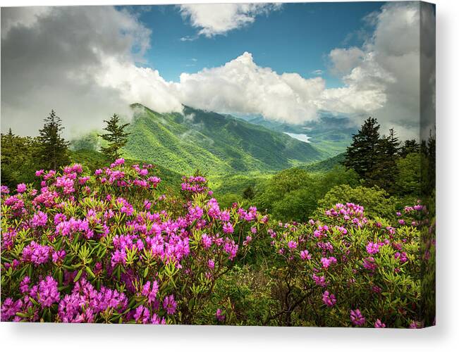 Asheville Canvas Print featuring the photograph Appalachian Mountains Spring Flowers Scenic Landscape Asheville North Carolina Blue Ridge Parkway by Dave Allen